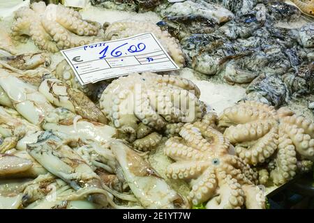 Frische Oktopusse und Tintenfische zum Verkauf auf dem Rialto Fischmarkt, Mercato di Rialto in Venedig, Italien Stockfoto