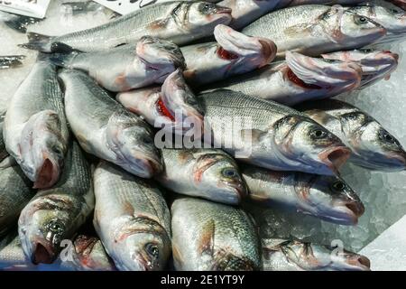 Rialto Fischmarkt, Mercato di Rialto in Venedig, Italien Stockfoto