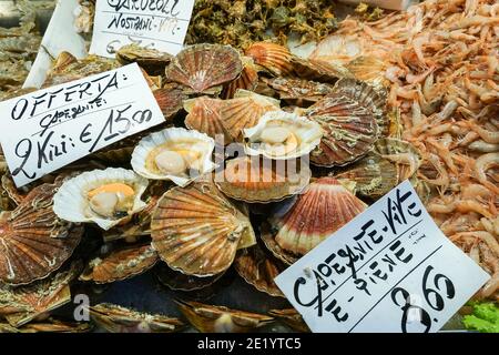 Frische mediterrane Jakobsmuscheln zum Verkauf auf dem Rialto Fischmarkt, Mercato di Rialto in Venedig, Italien Stockfoto