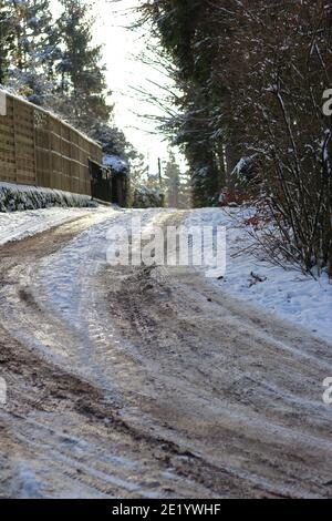 Waldweg in die Natur im Winter Stockfoto