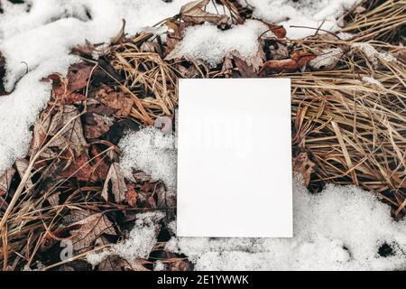 Winter Schreibwaren Mockup Szene. Nahaufnahme einer leeren Grußkarte, Einladung auf gefrorenem Boden. Trockenes Gras und Herbstblätter mit Schnee. Outdoor, Branding Stockfoto