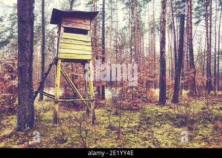 Hirschjagdturm in Wäldern, Farbtonierung angewendet. Stockfoto