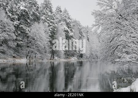 Winterlandschaft von Bäumen am Rande des Flusses. Schnee auf den Ästen der Bäume. Spiegelung des Schnees im Fluss. Riesige Schneeverwehungen liegen auf der Bank von Stockfoto