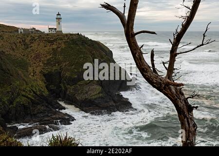 WA190687-00...WASHINGTON - North Point Leuchtturm im Cape Disappointment State Park. Stockfoto