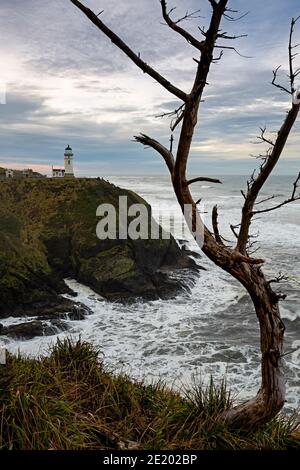 WA19070-00...WASHINGTON - North Point Leuchtturm im Cape Disappointment State Park. Stockfoto