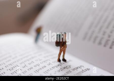 Miniaturmenschen, die auf EINEM Buchpapier spazieren Stockfoto