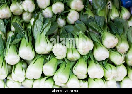 Bok Choy an einem Stand in Causeway Bay Stockfoto