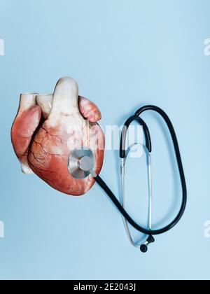 Menschliche Herzanatomie, schwarz und Metall-sthetoscope isoliert auf blauem Hintergrund, Konzept der Technologie der Diagnostik des Herzens, Kardiologie, 3D-Render Stockfoto