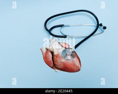 Menschliche Herzanatomie, schwarz und Metall-sthetoscope isoliert auf blauem Hintergrund, Konzept der Technologie der Diagnostik des Herzens, Kardiologie, 3D-Render Stockfoto