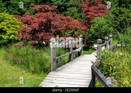 Holzbrücke im botanischen Garten Volcji potok, Arboretum, Kamnik, Slowenien Stockfoto