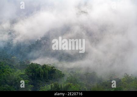 Nebelwaldlandschaft mit Nebel und Nebel, Mindo, Ecuador. Stockfoto