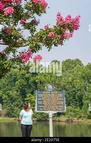 Alabama Demopolis Tombigbee River Water, Frau weiblich historischen Marker Crepe Myrtle White Bluff, Stockfoto