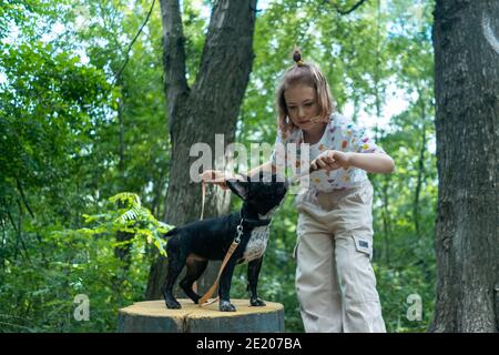 Kind spielen und trainieren französisch Bulldogge oder Welpe mit Stock Auf dem Spielplatz im Park Stockfoto