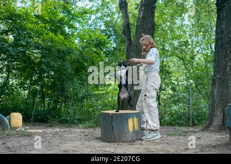 Kind spielen und trainieren französisch Bulldogge oder Welpe mit Stock Auf dem Spielplatz im Park Stockfoto