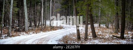 Winter Schotterstraße durch einen Wausau, Wisconsin Wald im Januar, horizontal Stockfoto