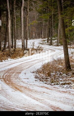 Winter Schotterstraße durch einen Wausau, Wisconsin Wald im Januar, vertikal Stockfoto