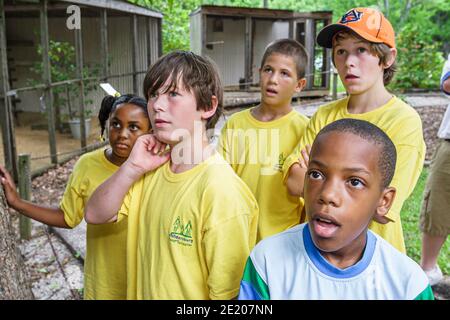 Birmingham Alabama, Ruffner Mountain Nature Center, Sommercamp Studenten Schwarze Jungen Mädchen Kinder, Stockfoto