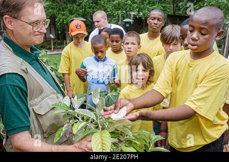 Birmingham Alabama, Ruffner Mountain Nature Center, Sommercamp Studenten Schwarze Jungen Mädchen Kinder Mann Naturforscher, Lehrer Berater, Stockfoto