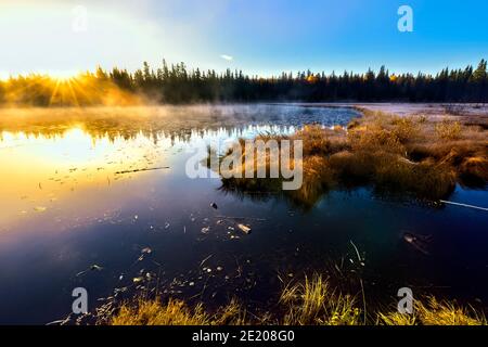 Ein früher Morgen am Maxwell Lake in Hinton Alberta mit aufgehender Sonne und Herbstfrost auf den Sumpfgräsern. Stockfoto