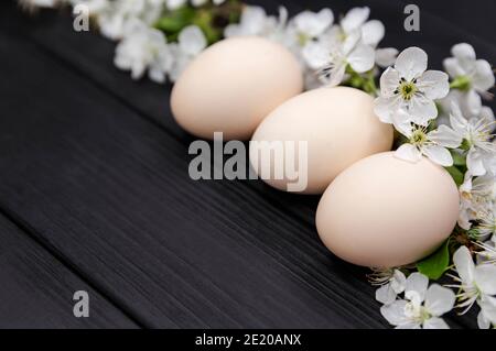 Happy easter Konzept mit Frühlingsblumen. Natürliche Blumenverzierungen Stockfoto