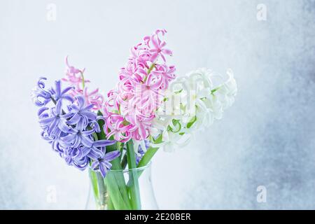 Frühling floralen Hintergrund. Lila, rosa, weiße Hyazinthen Blumen Bouquet auf Regal vor der Steinwand - Bild Stockfoto