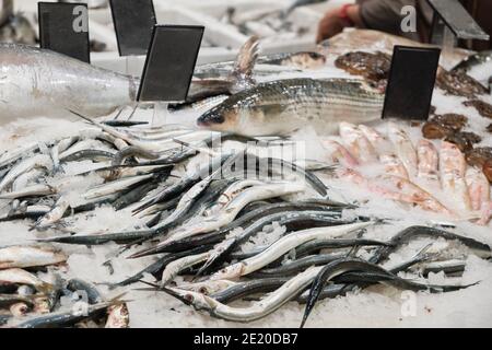 Gekühlte Nadelfische und andere Meeresfische auf Eis auf dem Hypermarkt Gefrierschrank Stockfoto
