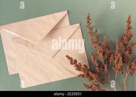 Bastelumschläge und trockene Blumen Pflanzen auf grünem Hintergrund. Draufsicht Flat Lay. Stockfoto