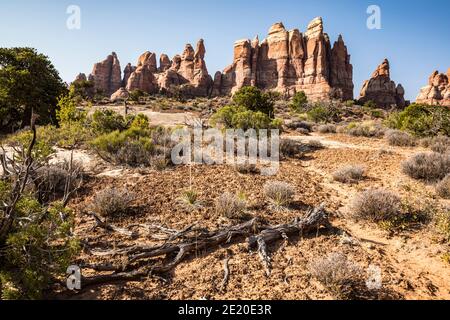 Entlang des Needles Chesler Park Trail. Canyonland National Park, Utah, USA. Stockfoto