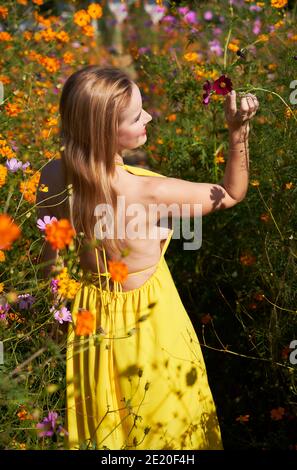Schönes Modell in einem Feld voller Blumen halten und riechen. Stockfoto