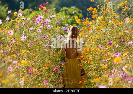 Schönes Modell zu Fuß durch ein Feld von Blumen in der Auf dem Land Stockfoto
