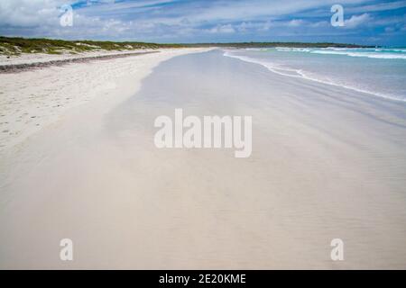 Ein Tag, an dem der wunderschöne Strand von Galapagos keine Touristen hat, Tortuga Bay, Santa Cruz Island, Galapagos, Ecuador. Stockfoto