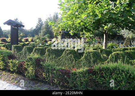 Mongiana, Vibo Valentia - Villa Vittoria Credit: Giuseppe Andidero Stockfoto