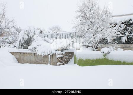 Winterlandschaft eines Hofes mit Pflanzen und Bäumen mit Schnee bedeckt. Raues Wetter. Stockfoto