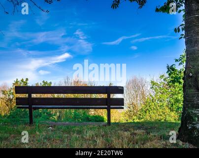 Bänke im Schatten der Bäume mit Blick auf die Landschaft Stockfoto