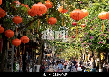 Papierlaternen auf einer baumgesäumten Allee in Vietnam Stockfoto