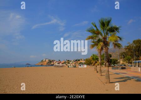Bolnuevo Strand in der Nähe von Mazarron Murcia Spanien mit Palmen Stockfoto