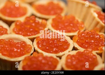 Tartlets mit Lachskaviar auf einer Platte. Nahaufnahme, selektiver Fokus Stockfoto