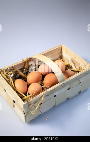 Eiern im nest Stockfoto