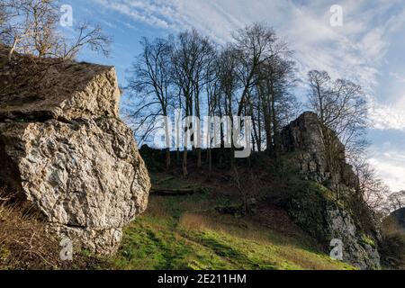 Ein Kalksteinfelsen in Wolfscote Dale, Peak District National Park, Derbyshire Stockfoto