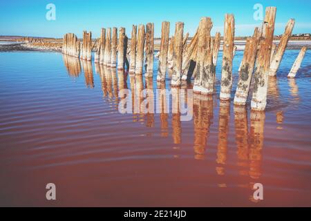 Salt Pink Mündung mit Reihen von Holzstämmen an einem sonnigen Tag. Naturlandschaft Stockfoto