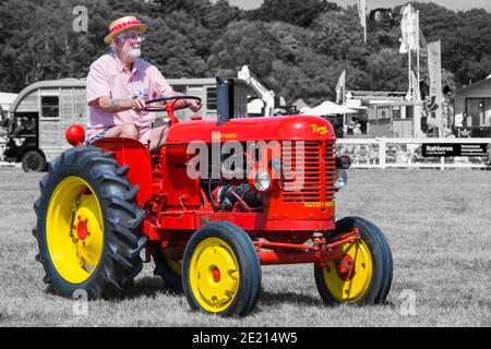 Mann fährt Traktor, Mann fährt in roten Massey-Harris Pony Traktor auf New Forest & Hampshire County Show, Brockenhurst, Hampshire, Großbritannien im Juli Stockfoto