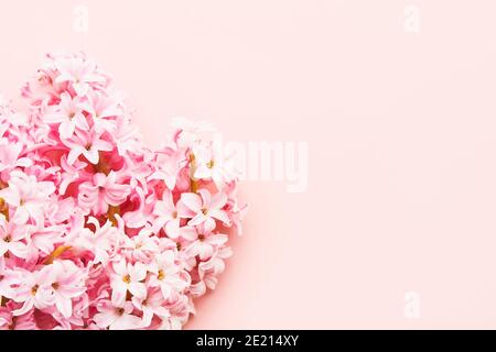 Rosa Hyazinths Bouquet auf rosa Hintergrund. Flach liegend, Kopierplatz Stockfoto