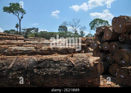 Die Abholzung im brasilianischen Regenwald führt zu großflächiger Entwaldung Und Landerosion Stockfoto