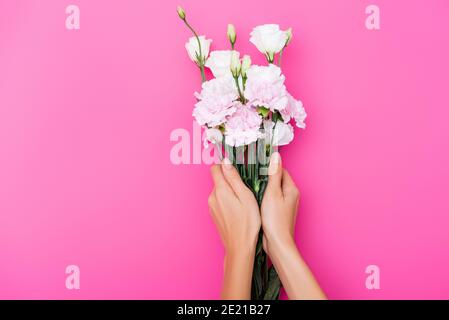 Teilweise Ansicht der Frau, die Nelke und eustoma Blumen auf hält Rosa Hintergrund Stockfoto