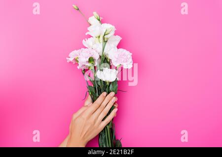 Teilansicht der Frau mit glänzenden Maniküre hält eustoma und nelkenblumen auf rosa Hintergrund Stockfoto