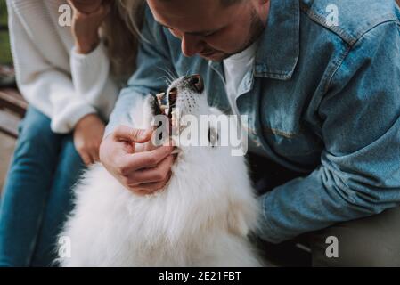 Nahaufnahme von jungen lächelnden Frauen und Männern streicheln Ihr weißer flauschiger Welpe, während er auf einer Gassenbank sitzt Stockfoto