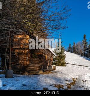 Landschaft über Viktorsberg in den österreichischen Bergen. Almhütte am Waldrand auf dem verschneiten Feld. Der Schnee glitzert, leuchtet auf der Wiese Stockfoto