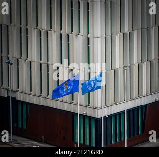 Flaggen der WHO und der UNO, die vor dem Kopenhagener Hauptquartier im Wind winken. Stockfoto