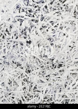 Geschreddert Dokumente gehen zum Recycling Stockfoto