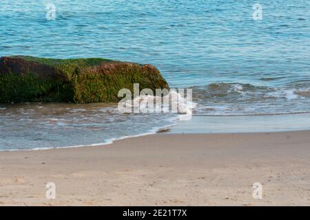 Große Felsbrocken mit grünen Algen an der Küste bedeckt. Welle mit weißem Schaum auf Sand des Strandes. Selektiver Fokus. Stockfoto